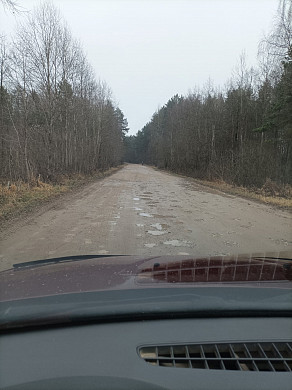 Дети опаздывают в школу из-за ям на дороге